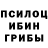 Псилоцибиновые грибы Cubensis Turk 23