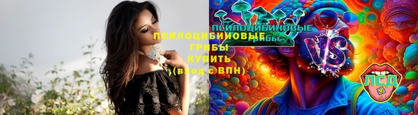 кокс Армянск