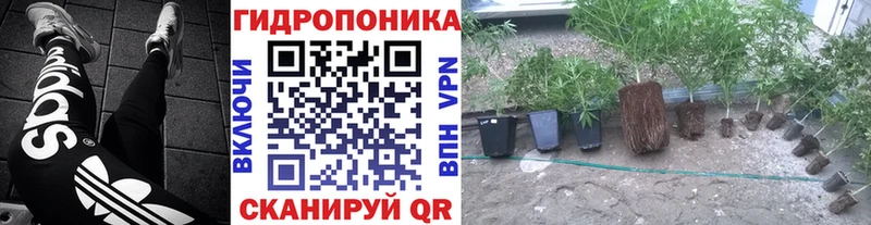 купить   Буинск  Бошки марихуана семена 